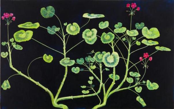 jorn-van-leeuwen-geranium-meteoor-8_645_425_s