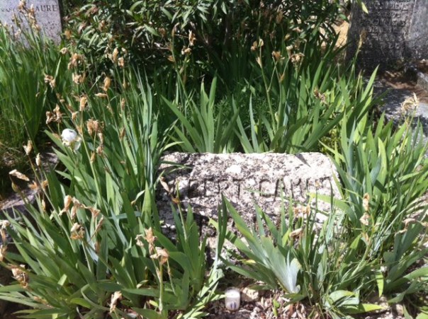 graf van Camus in Lourmarin                        Foto MvL