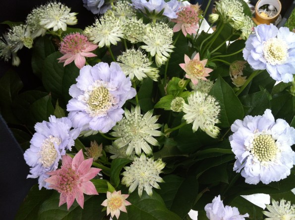 Boeket met Zeeuwsknoopje foto MvL