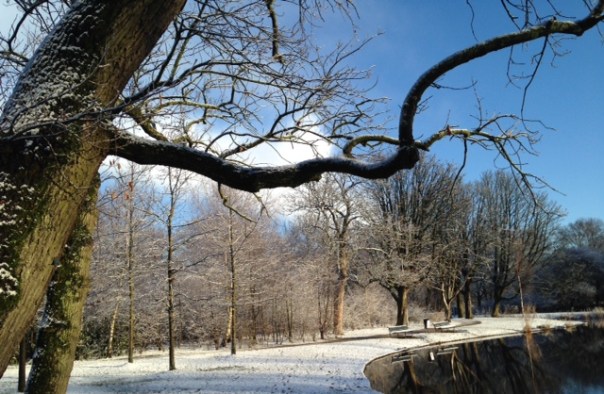 Vondelpark 30 januari 2015 foto MvL