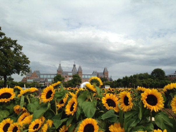Zonnebloem-labyrint foto MvL