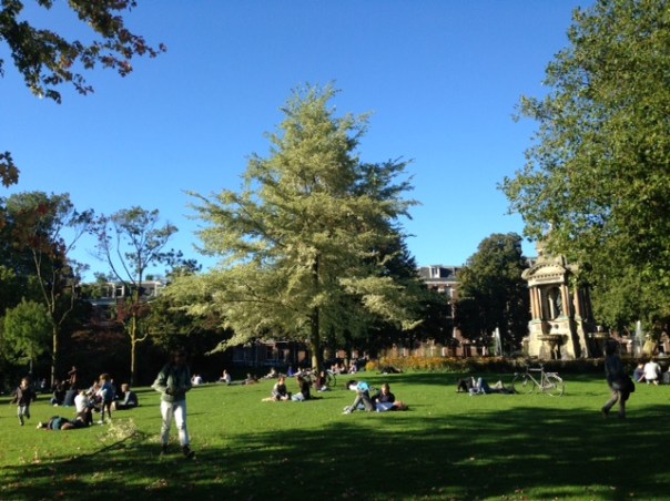 Boom in het Sarphatiepark foto; MvL