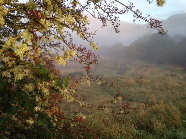 Korstmos De Trossachs 3