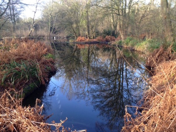Jac. P. Thijsse park Amstelveen foto:MvL