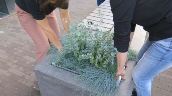 bak-in-de-bak-tillen