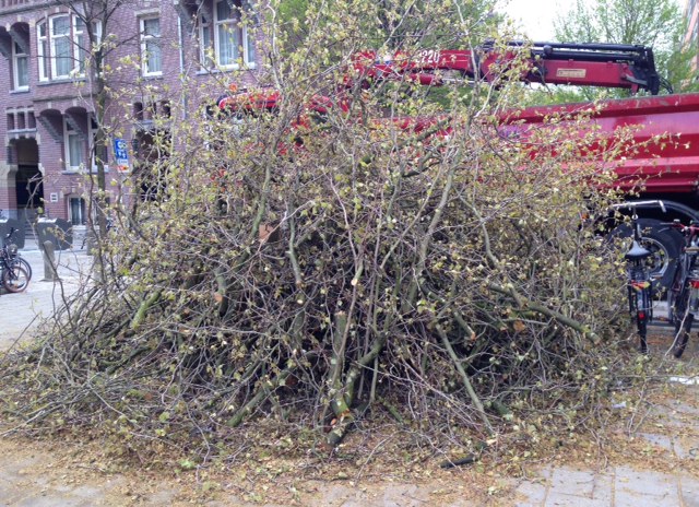 takkenbos plantaan 2