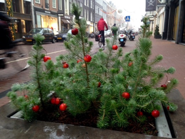 winterbeplanting 2 PC 2017